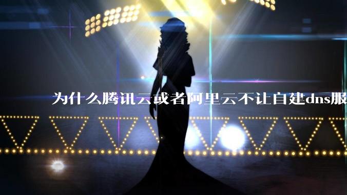 为什么腾讯云或者阿里云不让自建dns服务器?